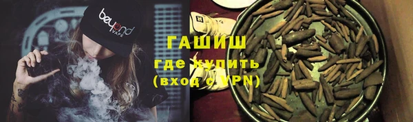 гидра Вяземский